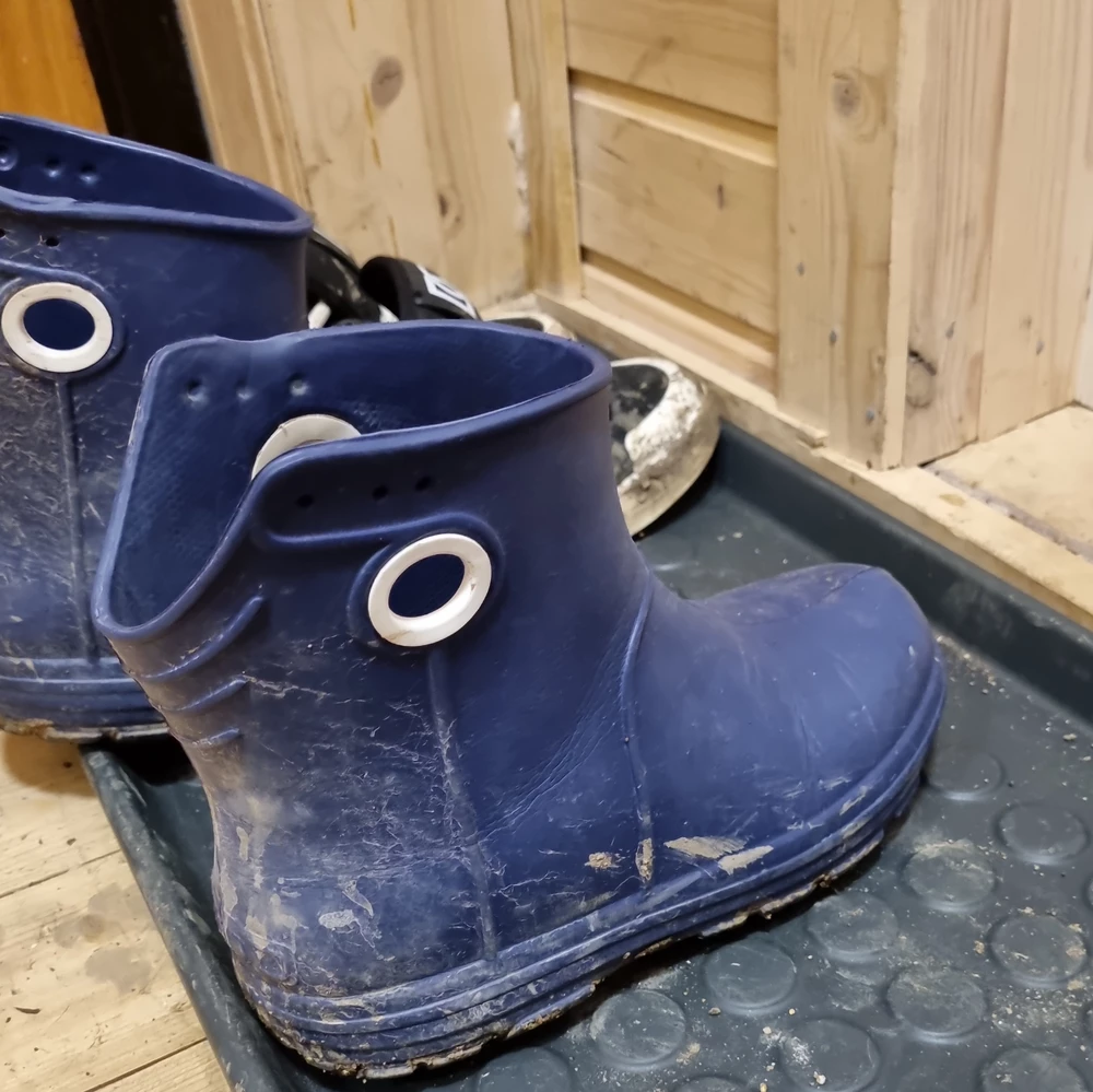 Только с улицы! Классные! Положила стельки из войлока и порядок! Оч. удобные! Спасибо!