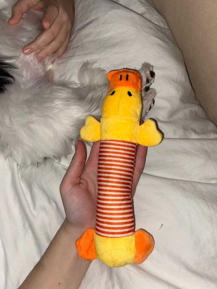 Заказывала набор из 2 штук, а пришла только одна. Сама игрушка неплохая.