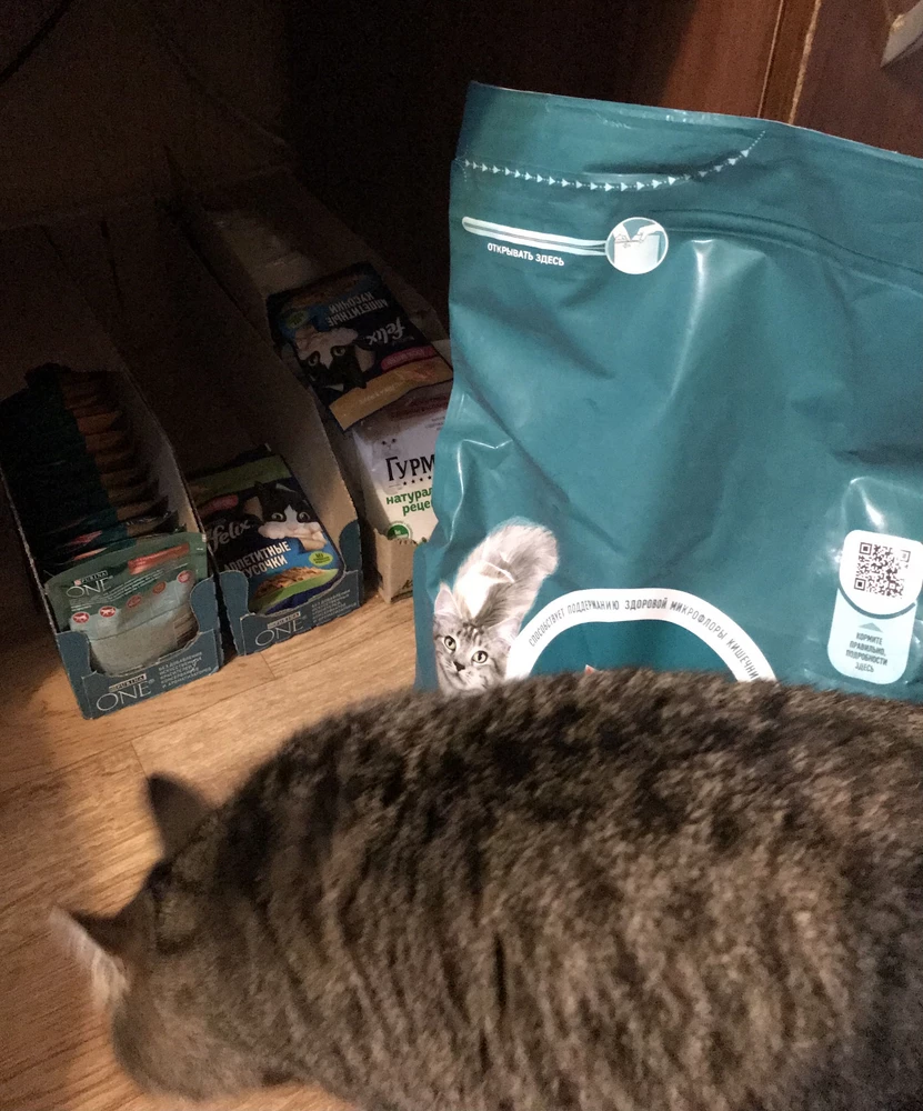Инспекция ввиде кошки показала что корм на высоте!) пришло вс целое, все 26 пакетиков на месте! Спасибо 👍