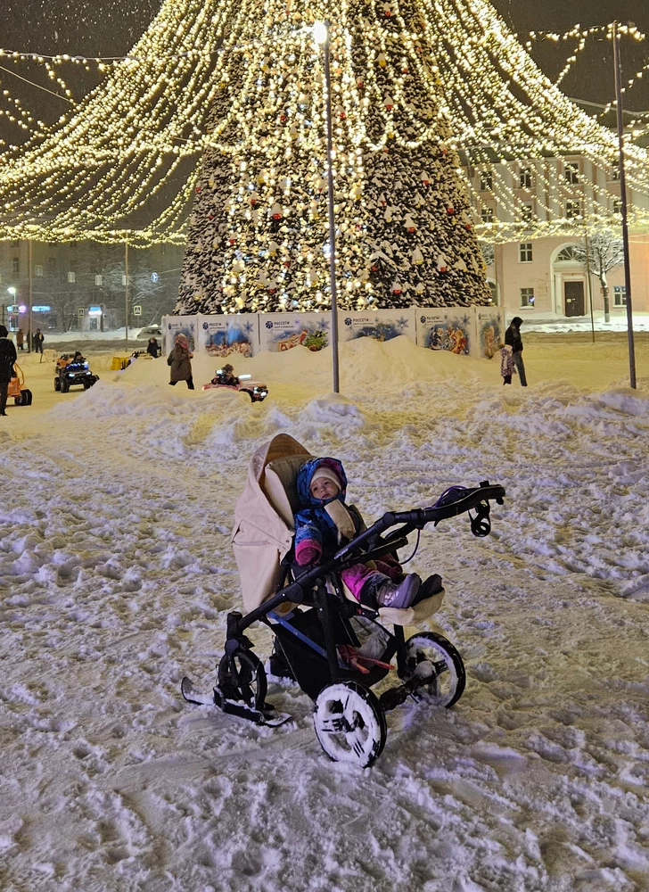 Просто отлично! Сидят на колёсах крепко, можно передвигаться по засыпанному снегом городу.