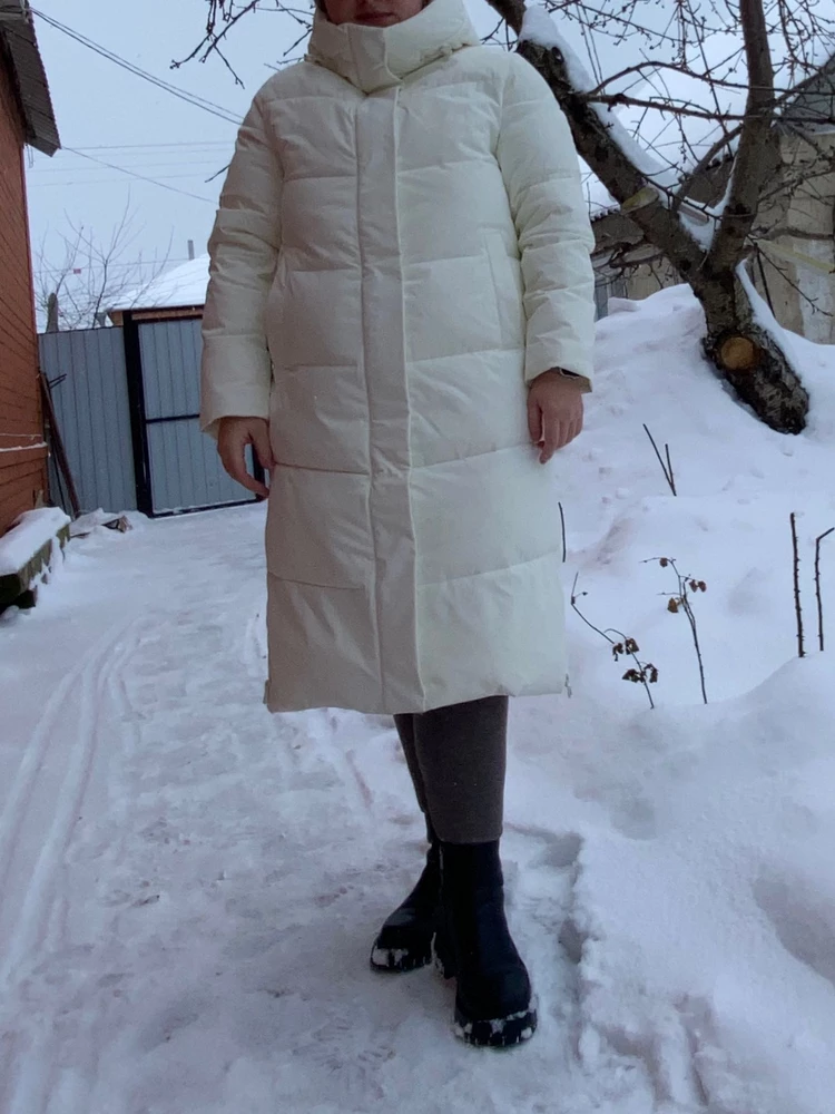 Без комментариев