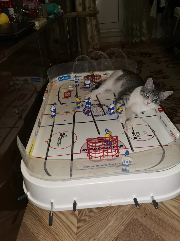 Котейка наелся любимого корма, и пошел в хоккей поспать