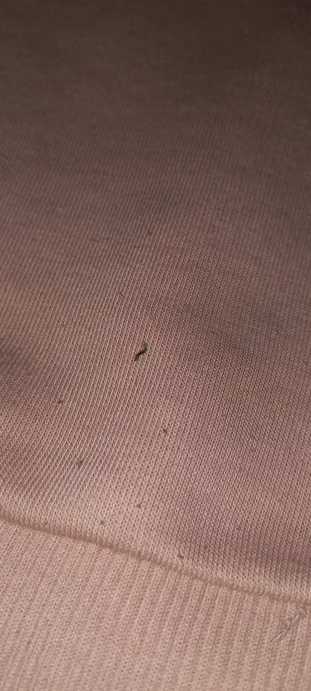 Свитшот неплохой, купила ребёнку в школу за 2 недели носки стали появляться катушки,не рекомендую брать.