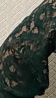 Получила платье , очень довольна ! Хорошая ткань , красивый кружевной рукав придает  платью женственность