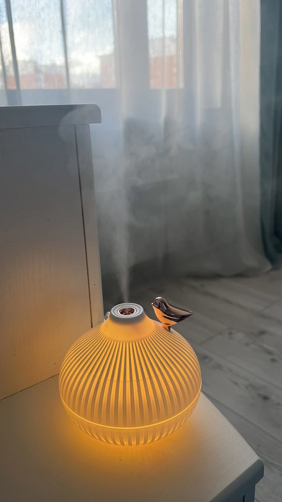 Увлажнитель понравился, маленький размер/объем расчитан на небольшую комнату, ставлю его рядом с кроватью, за такую стоимость свои функции выполняет отлично