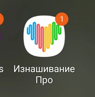 Сами часы хорошие, работают все функции. 
Недостаток: ужасное приложение, нельзя удалить родной циферблат и загрузить несколько новых, то есть загрузить можно только один, при следующей загрузке он замещается новым.  Название приложения на русском кошмар (Изнашивание Про). Много навязчивой рекламы.  Приложение однозначно нужно дорабатывать.