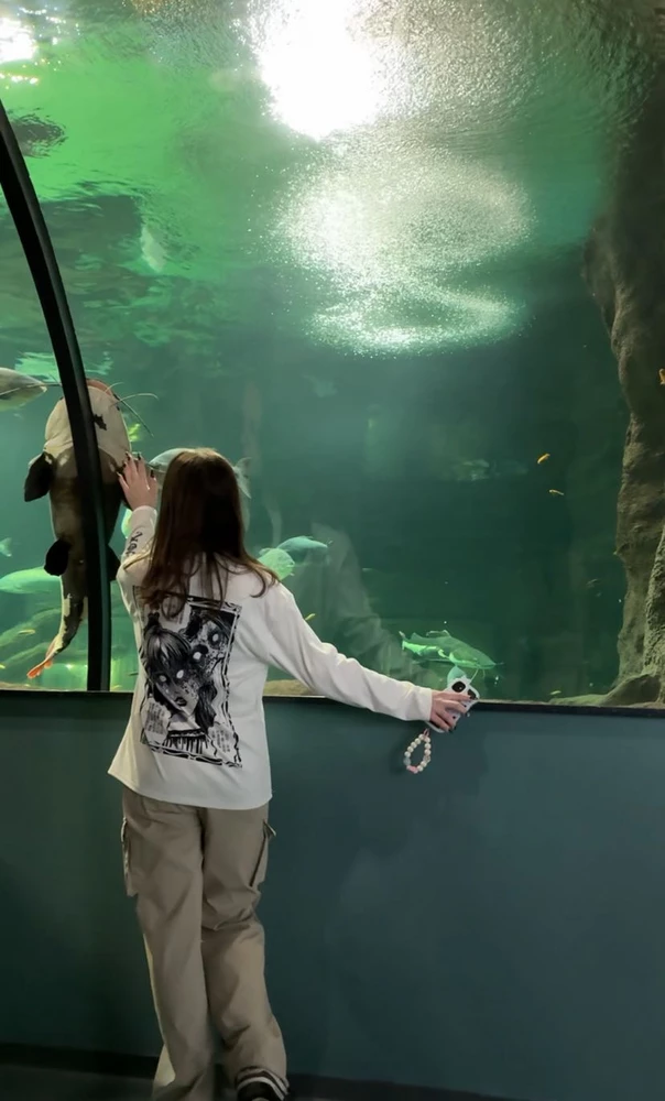 Без комментариев