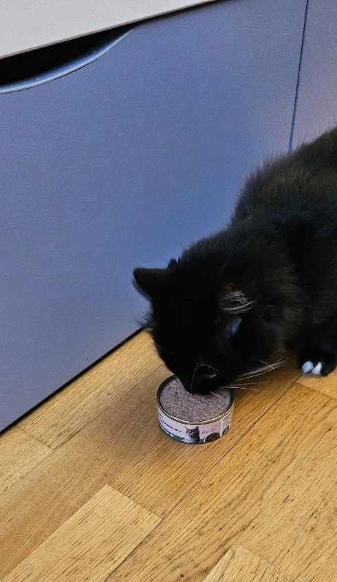 Моей кошке очень нравится это суфле. Ест с удовольствием. Рекомендую