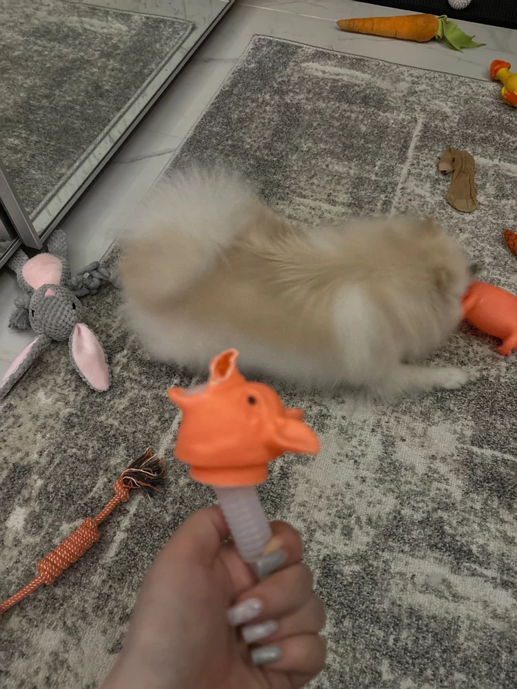 Сама игрушка прикольная НО сама которую моя собака за 3 минуты сгрызла
