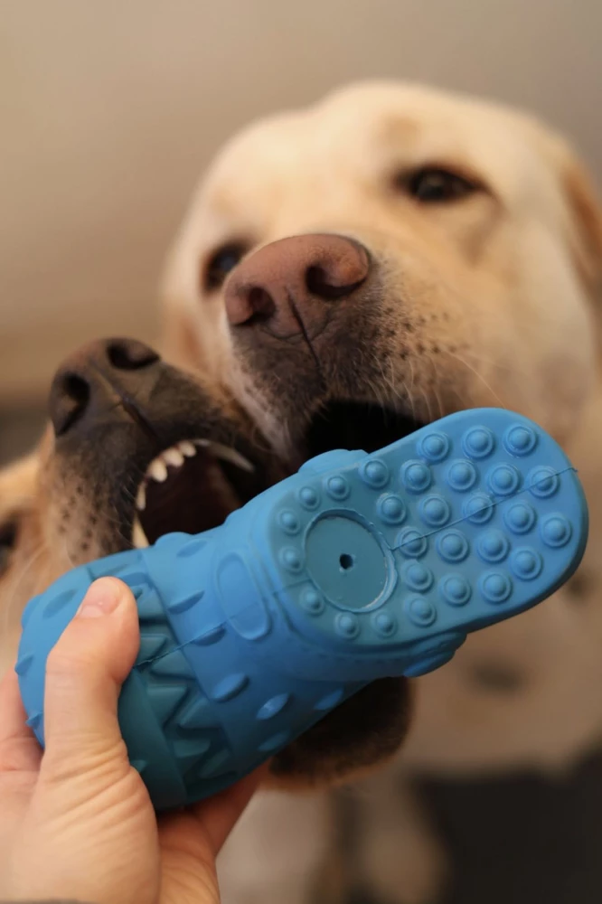 Собаки довольны 👍🏻 молочный запах, прочная резина и пищалка