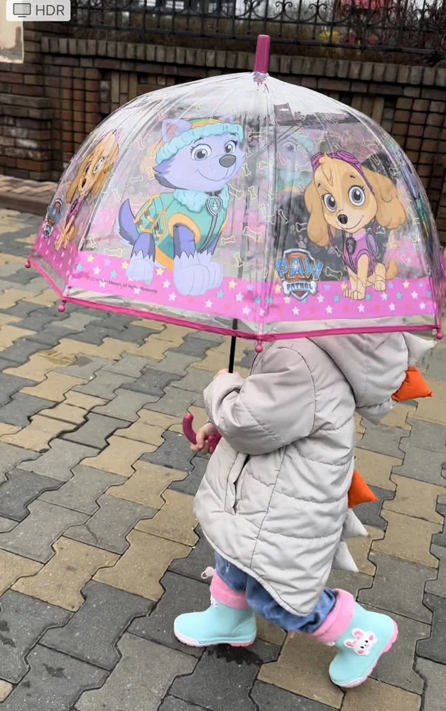 Зонтик целый, завернут в мягкую пленку. Ребенок доволен и мы тоже. Спасибо.