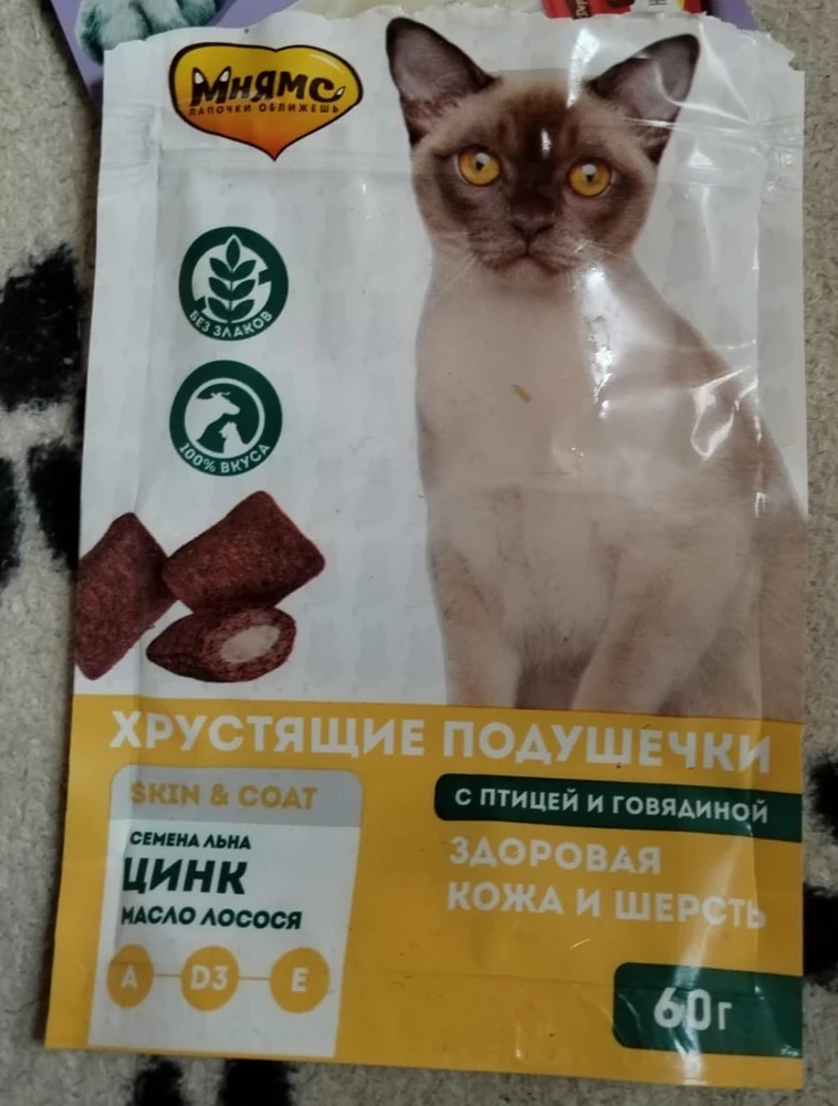 Кошки едят с удовольствием