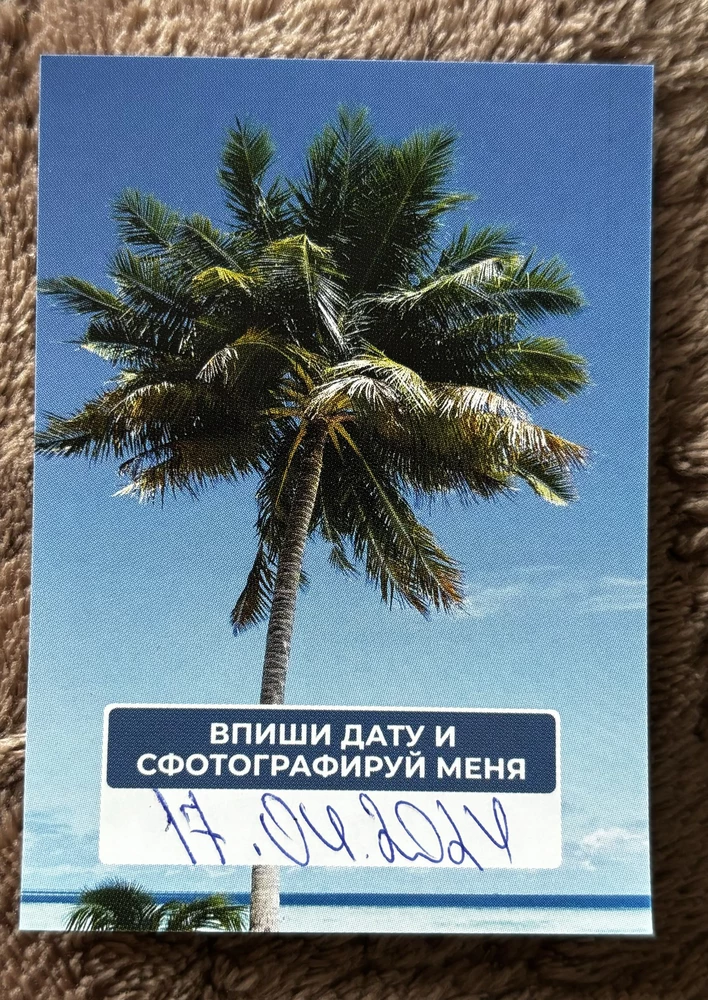 Приобрели робот, товар качественно упакован, доставка быстрая, будем пользоваться, спасибо👍🏻