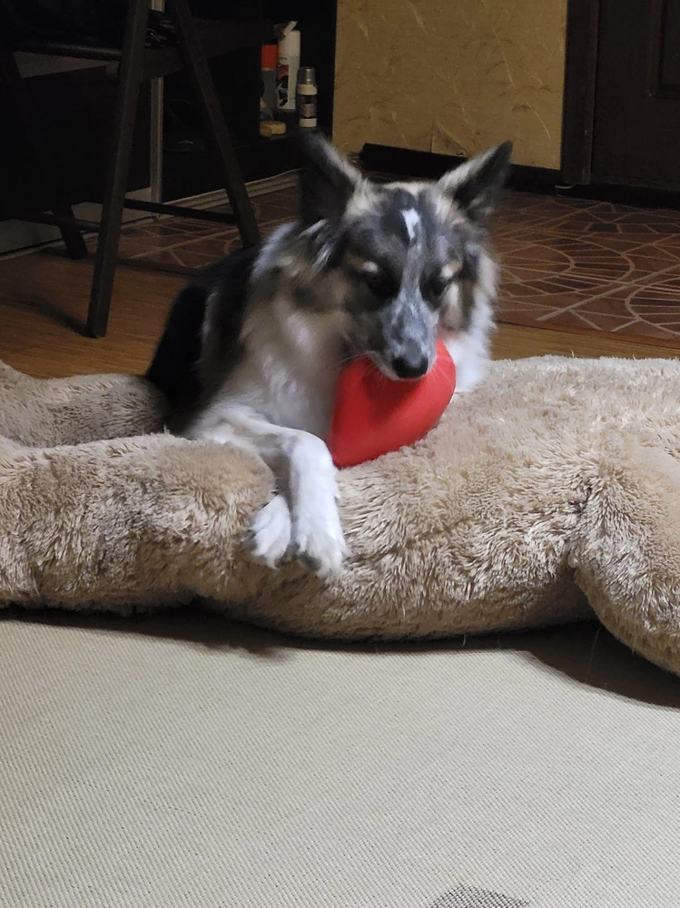 Хороший👍. Сейчас пойдём на футбольное поле гонять)). Спасибо