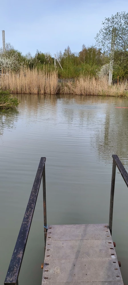 После двух недель вода зацвела. Бесполезная трата денег.