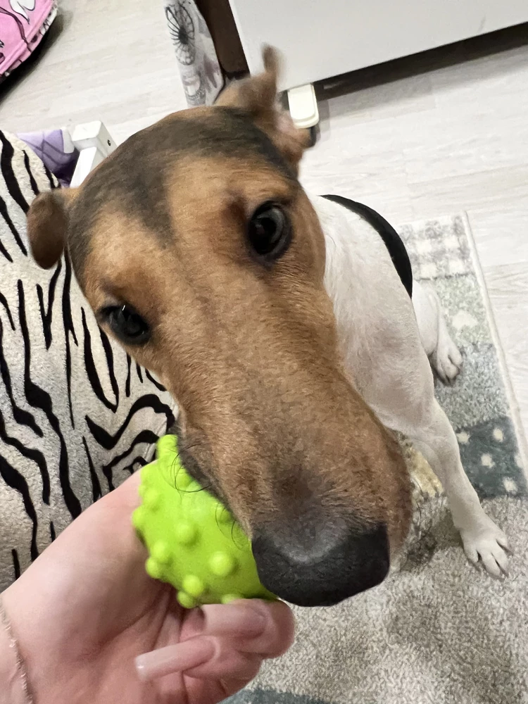 Жалко с пустя пол часа мячика нет(