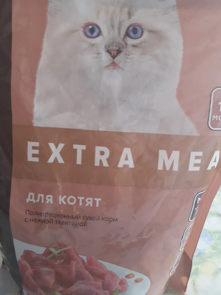 Котёнк ест с удовольствием