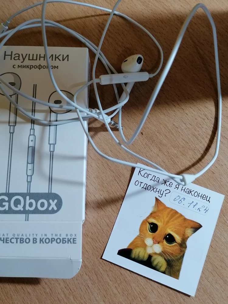 Пришли рабочие