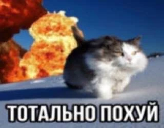Классные штанишки!Асфальт почистил,кайфовые!Друзья с Виксивирами подавились фикалиями(будьте джентельменами)!Советую к покупке