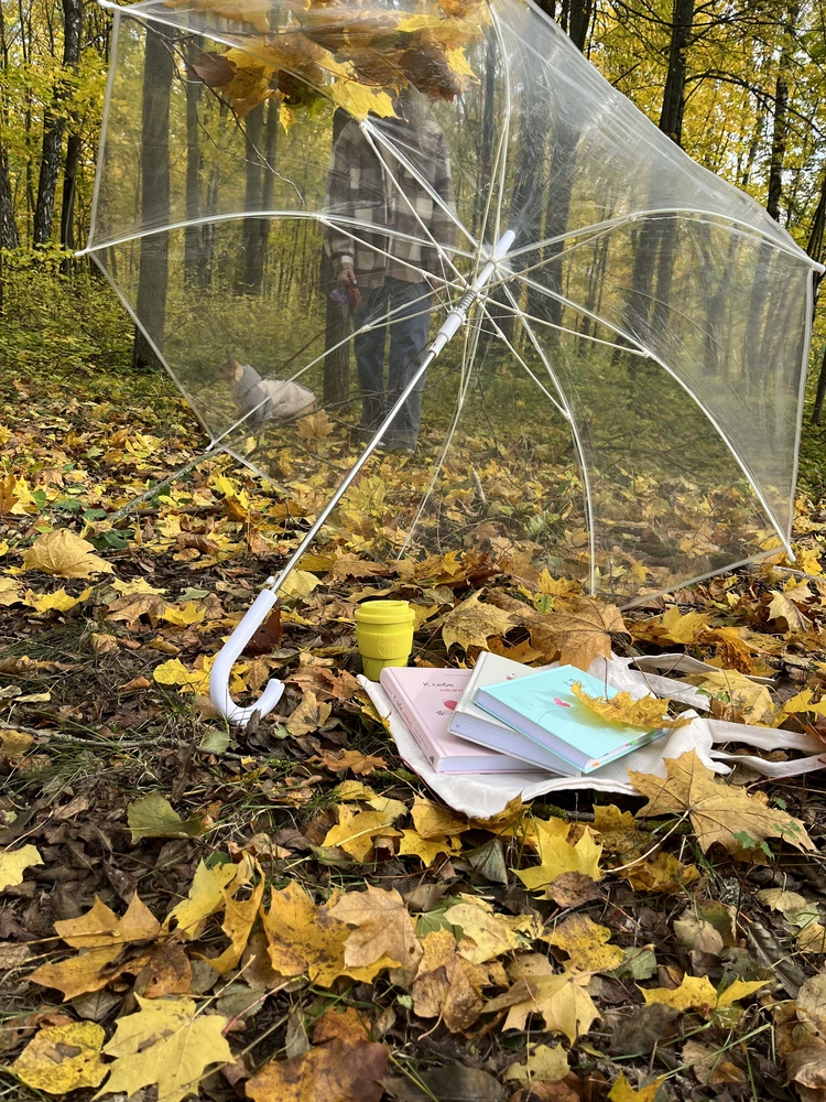 Зонт хороший, купила его давно и претензий нет. Не хлюпенький, уже много раз бывал под дождем.