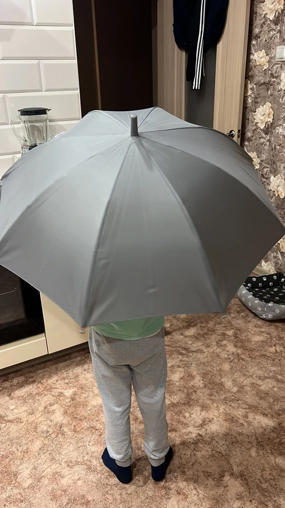 Хороший зонтик, сын доволен.