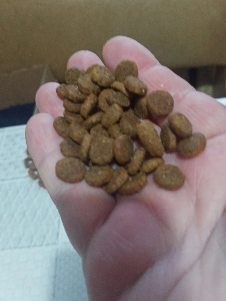 Котчшку очень понравился,хотя он привереда!Лопает-только в путь,даже я(По запаху!!!) поверила,что натурально!