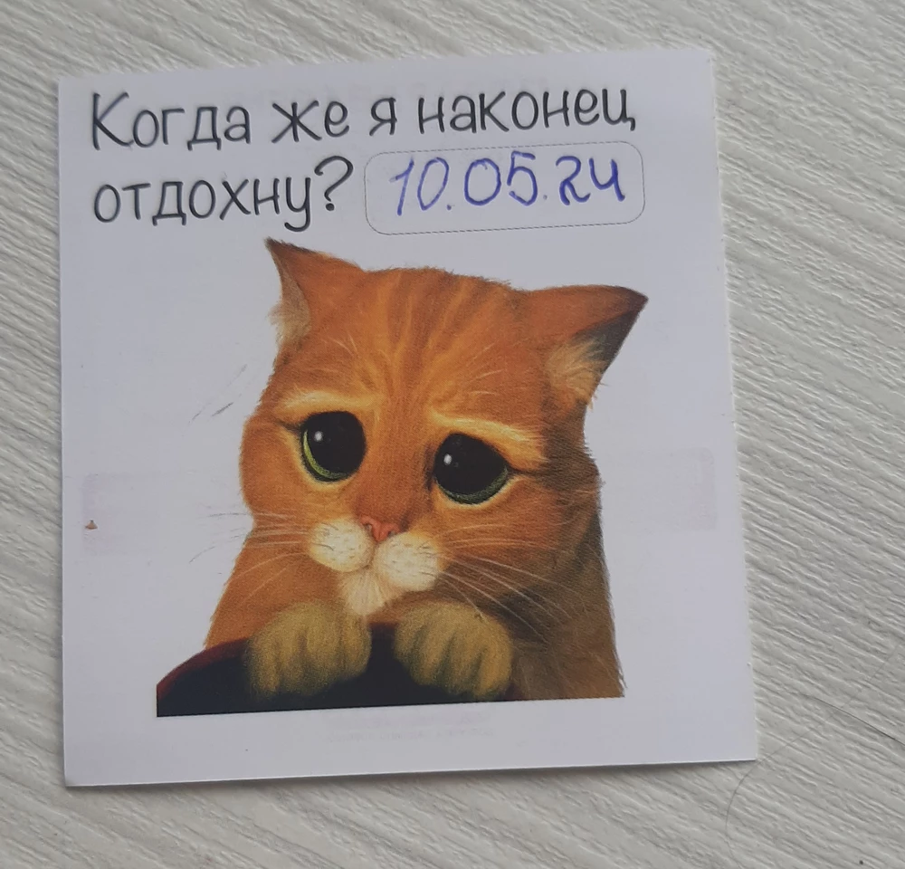 Пришли целые, хорошо упакованы, работают
Из минусов заломы, остальное вроде хорошо, за такие деньги вполне приличные наушники👍🏻