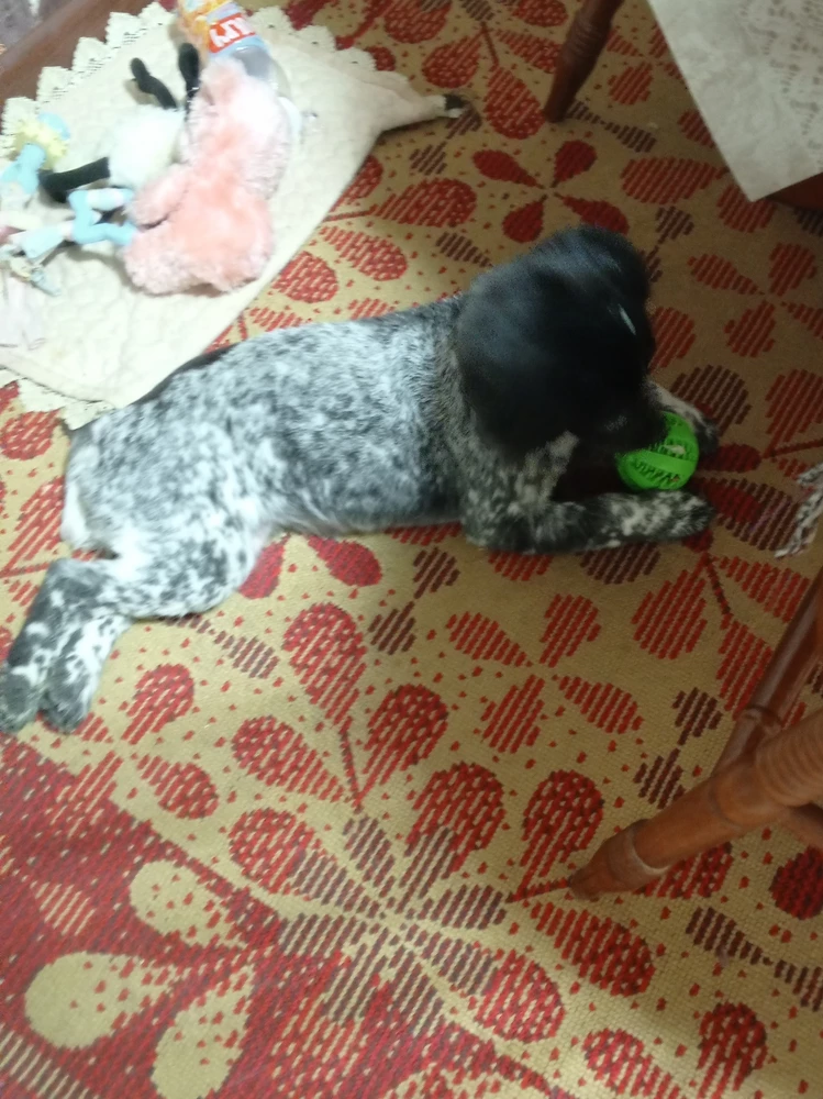 Без комментариев