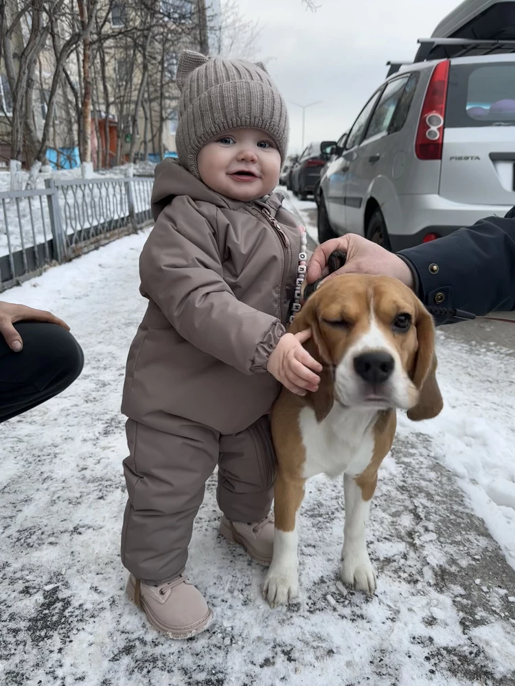 Комбинезон огонь 🔥редко пишу отзывы ,но  этот комбез просто вау 😻,дочка падала в грязь ,а ему хоть бы хны,даже не протирала ,остался чистым 😱.Мы взяли прям рост в рост ,наша 79 см взяли 80 ,хорошо сел ,с поддёвой прям в притык ,а без хорошо ,даже свободно .Вообщем берите ,не пожалете 🤗