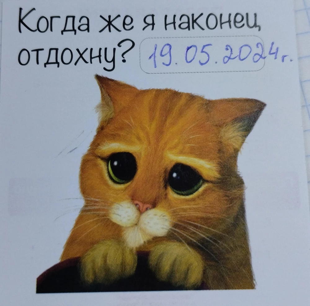 За свою цену пойдёт:)