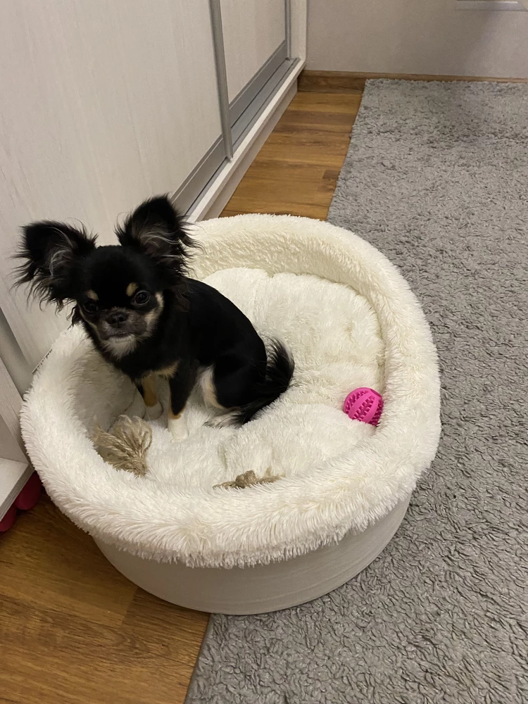 Мячик понравился, играется