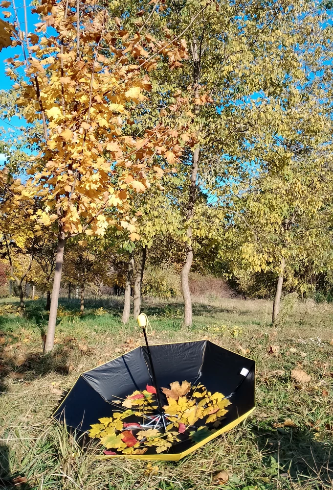 Зонт классный. Качественный, красивый, удобный