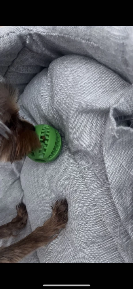 Мяч огонь,йорик довольный 🥰