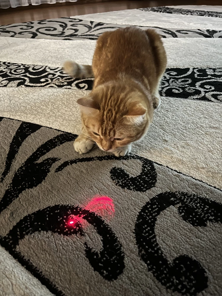 Отличный лазер, кот в восторге, очень порадовало, что пришел заряженный, также удобно, что он не на батарейках, мощный, вообщем рекомендую