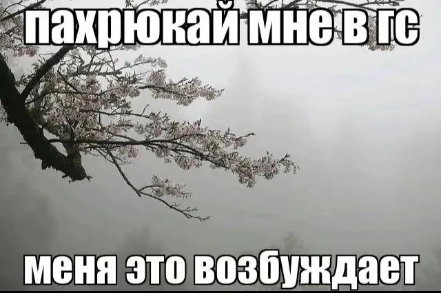 Поло отличное , искала именно такое ... Ребристое . просвечивает чуть чуть , но это не особо большая проблема . ткань довольно мягкая и приятная к телу 💗 Взяла на размер побольше , сидит свободно рекомендую 😊