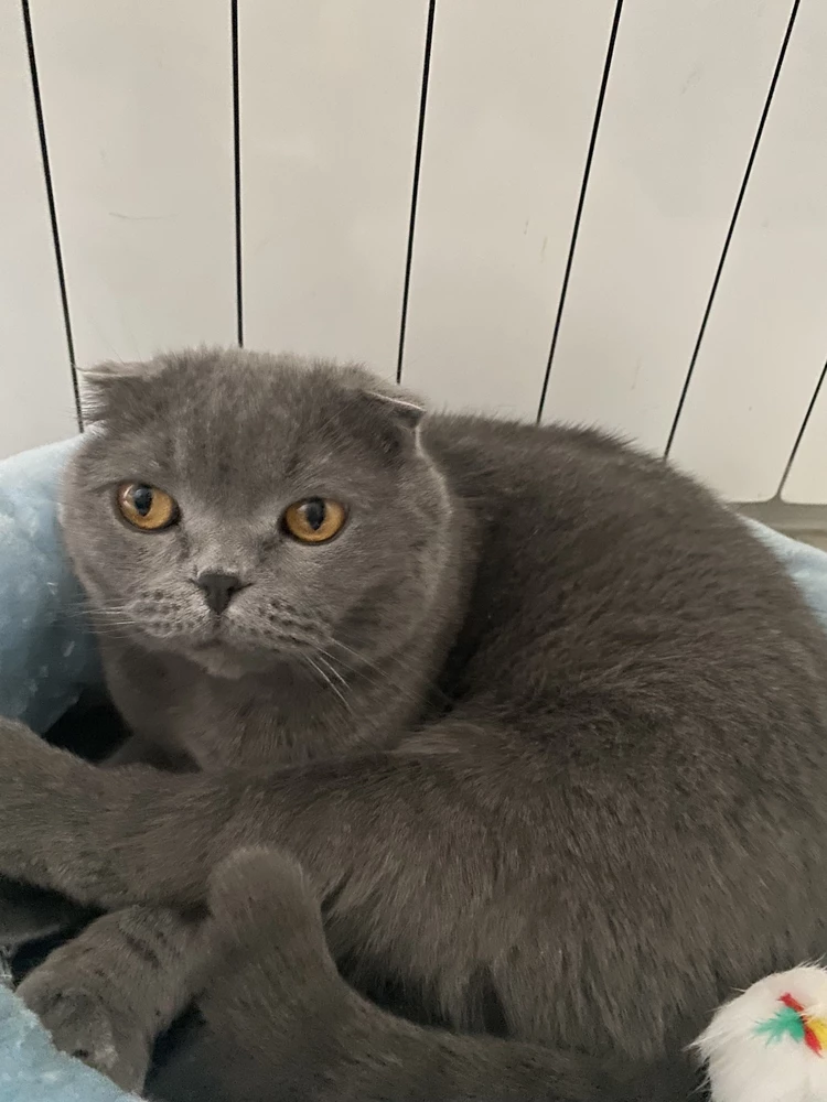 Без комментариев