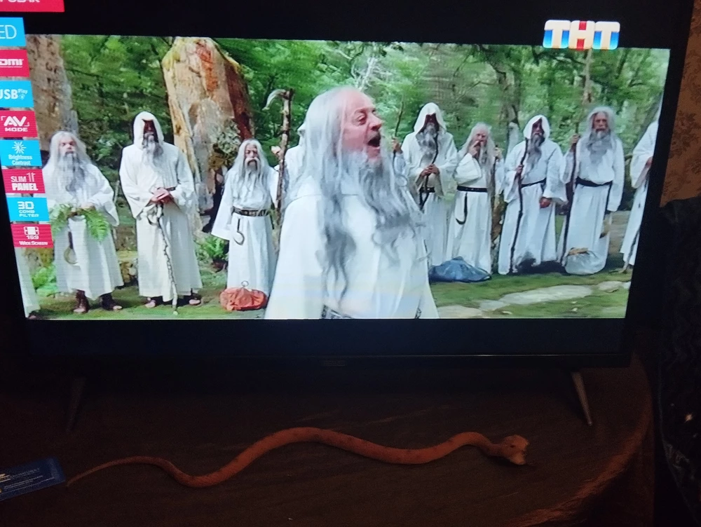 Прекрасно.  Время покажет как в работе.  ...