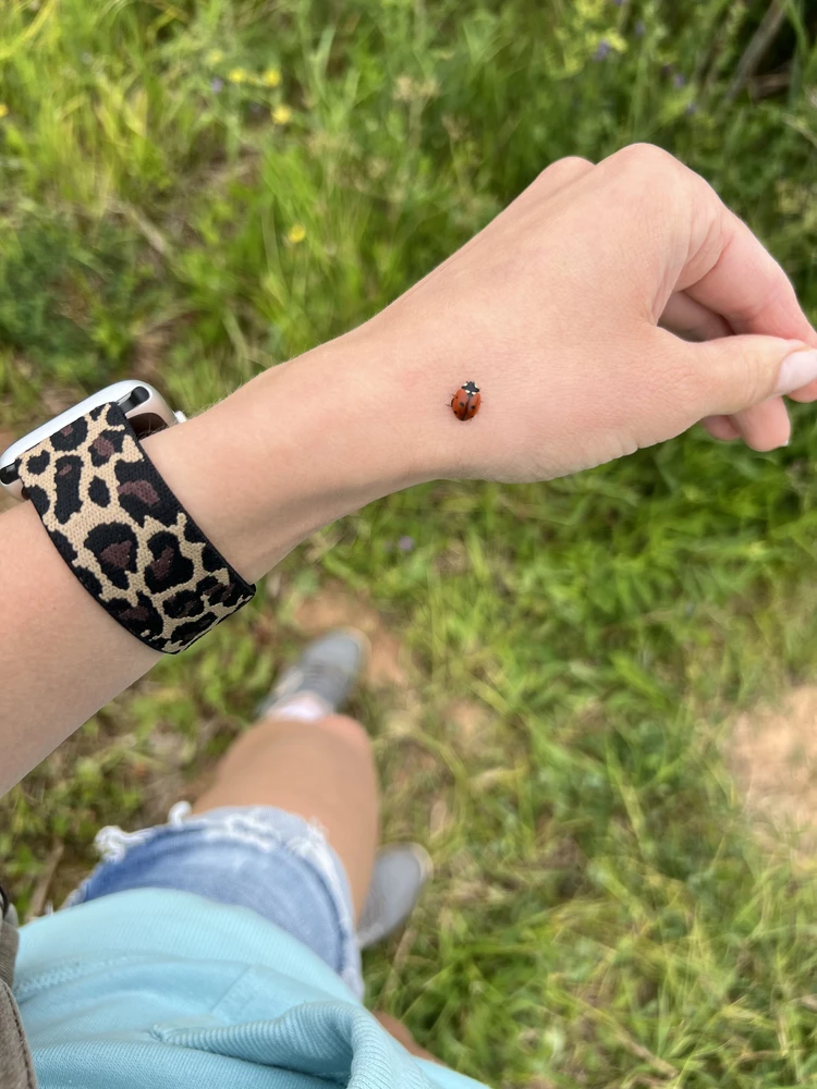 Нормальный ремешок, сняла звезду из-за того что снимать не очень удобно  ( потом расстягивается ремешок)