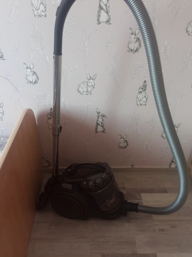 Пылесос просто супер,я сомневалась , что такой недорогой девайс будет качественно пылесосить, правда после включения пылесоса двигатель начинает плавно набирать обороты 5-6 секунд,но пылесосит просто огонь 🔥, контейнер мусорный разбирается максимально.Рекомендую.