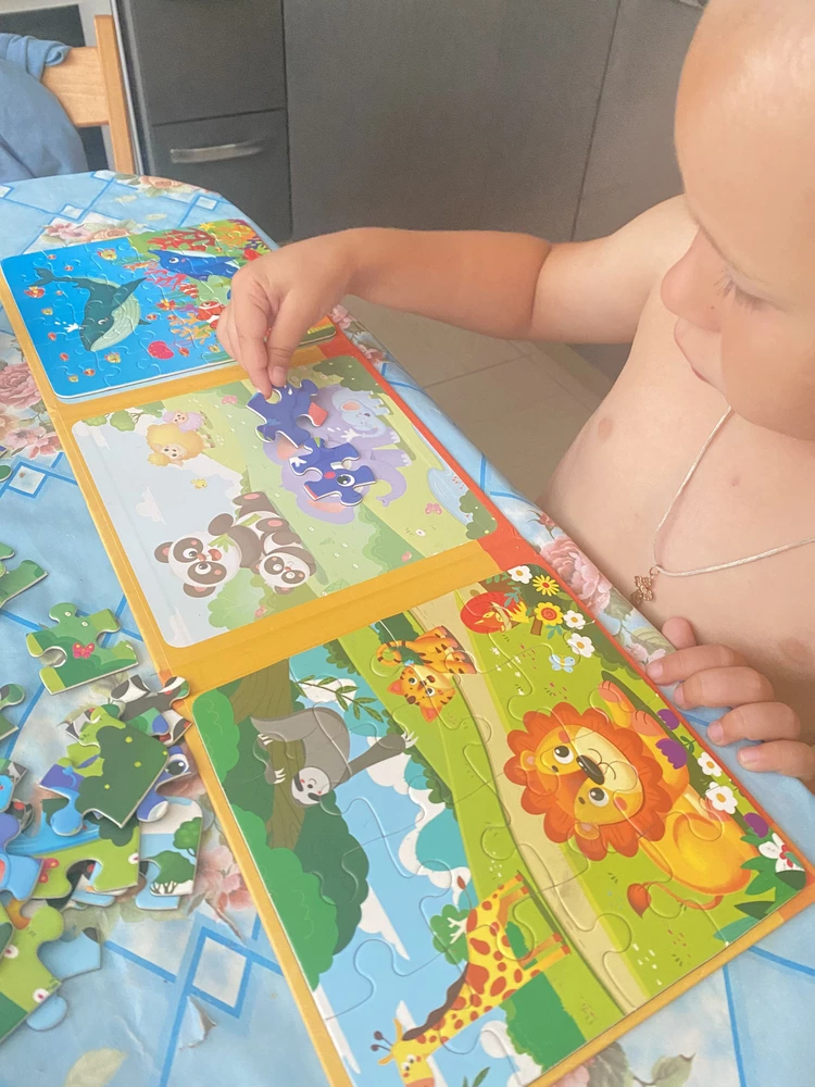 Спасибо, это супер пазлы! Магнит все держит, рисунок внутри помогает ребенку собирать! В дороге ,думаю ,класс будет!